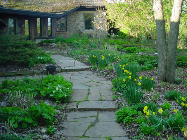 DSC00905.JPG