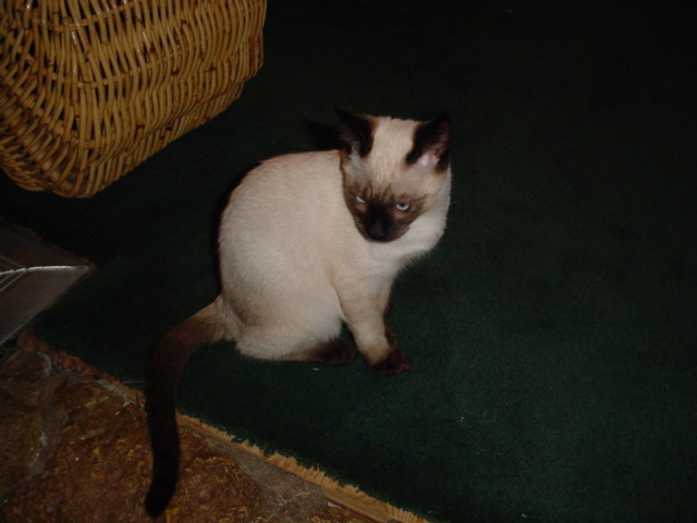 DSC00947.JPG