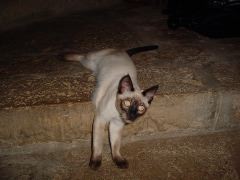 DSC01015.JPG
