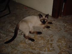 DSC01017.JPG