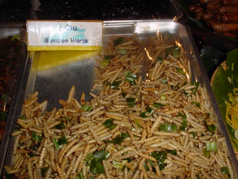 19_Fried_Bamboo_Worm
